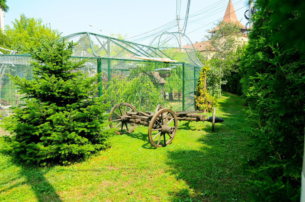 Pension La Cupola Targu Mures Exterior foto